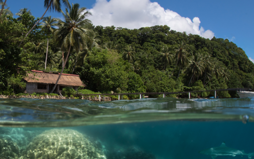 Solomon Islands photo of a thatched hut surrounded by vegetation and the ocean.