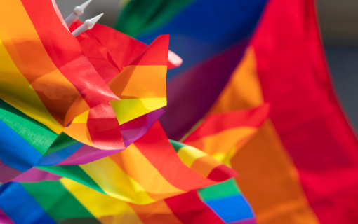 LGBTQ Flags Waving Outdoors photo credit inkdrop via Canva Pro