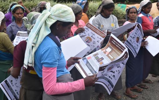 Group of women reading election material in Sri Lanka