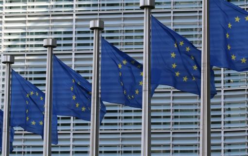 EU Flags image by Guillaume Perigois via Unsplash