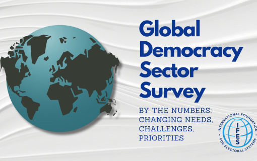 Global Democracy Sector Survey By the Numbers Changing needs Challenges and priorities