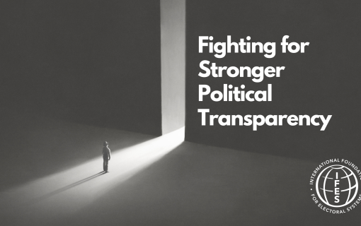 Fighting for Stronger Political Transparency, a human figure looks into an opening in an enormous wall