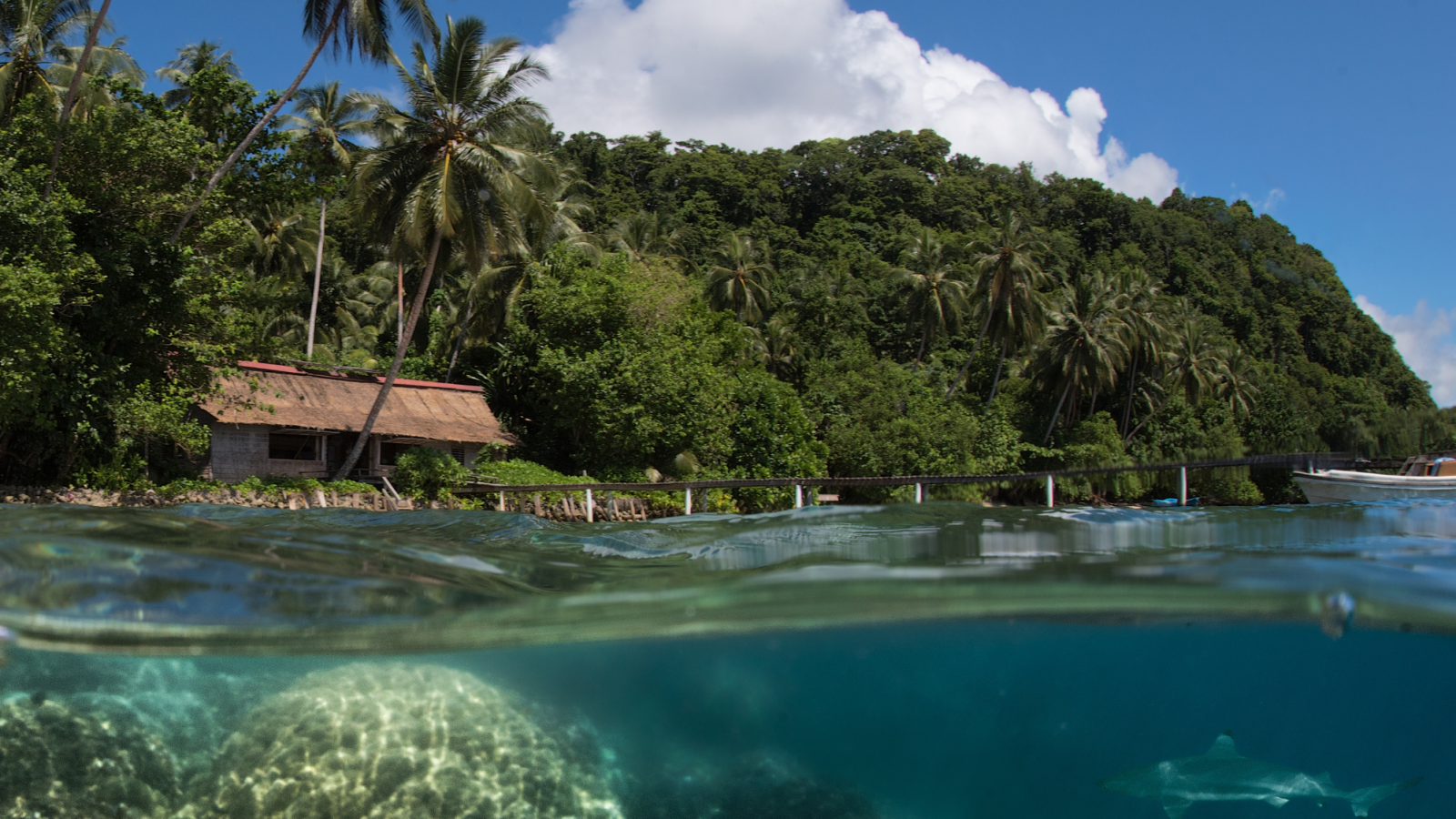 Solomon Islands photo of a thatched hut surrounded by vegetation and the ocean. 