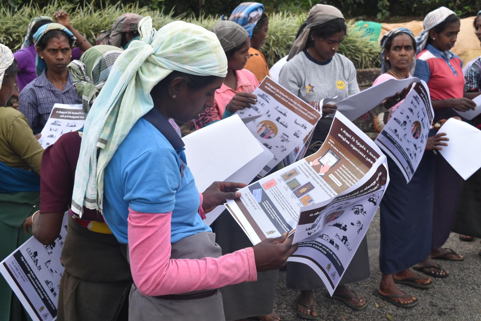 Estate workers in the Central Province of Sri Lanka view voter education posters during a voter awareness raising event carried out by IFES and local partner Chrysalis ahead of the local government election. Source: Chrysalis