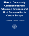 Chapter 4: Potential Tensions
