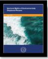 Report Cover of "Electoral Rights of Environmentally Displaced Persons"