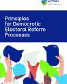 GNSEI Principles for Reform 