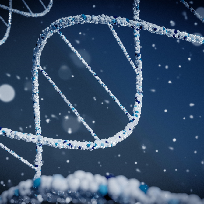 DNA image by Braňo on Unsplash
