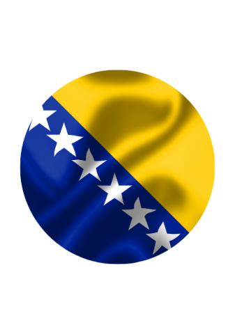 Bosnian Flag