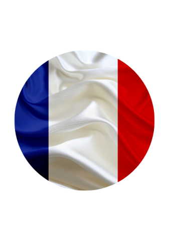 French flag 