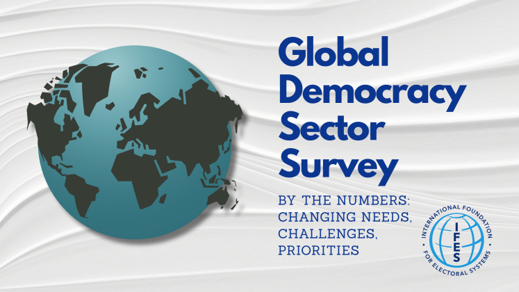 Global Democracy Sector Survey By the Numbers Changing needs Challenges and priorities 