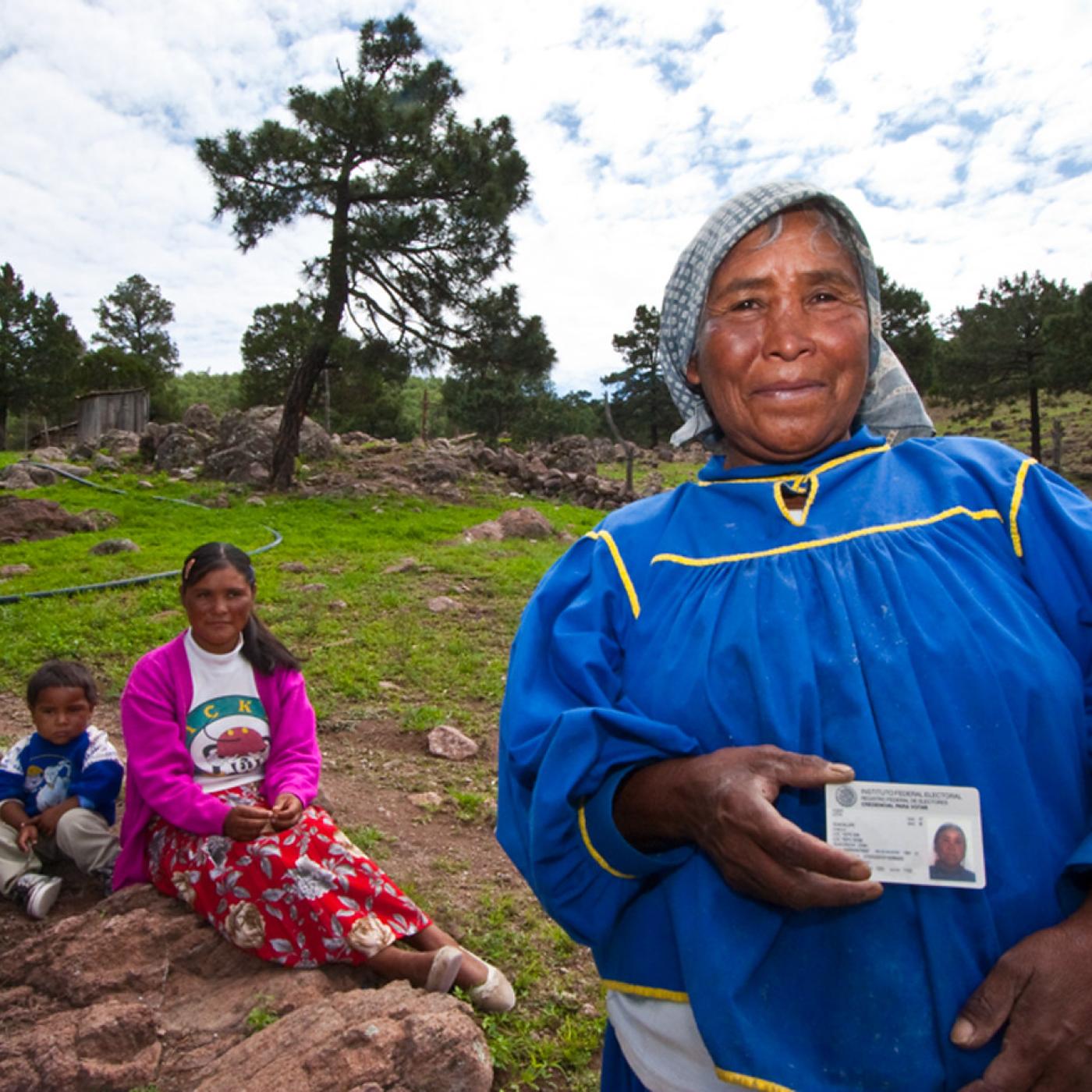 Woman Voting