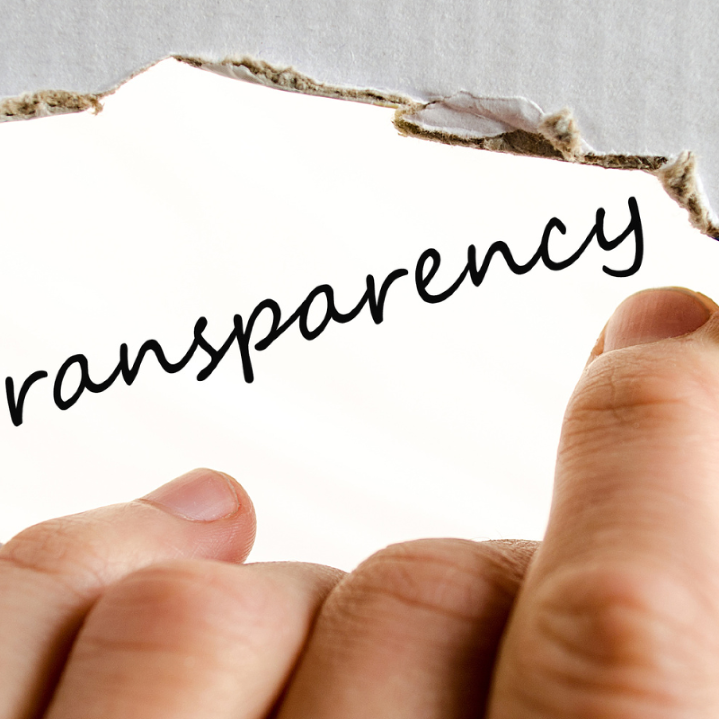 fingers holding label that says transparency with burnt edges on white background