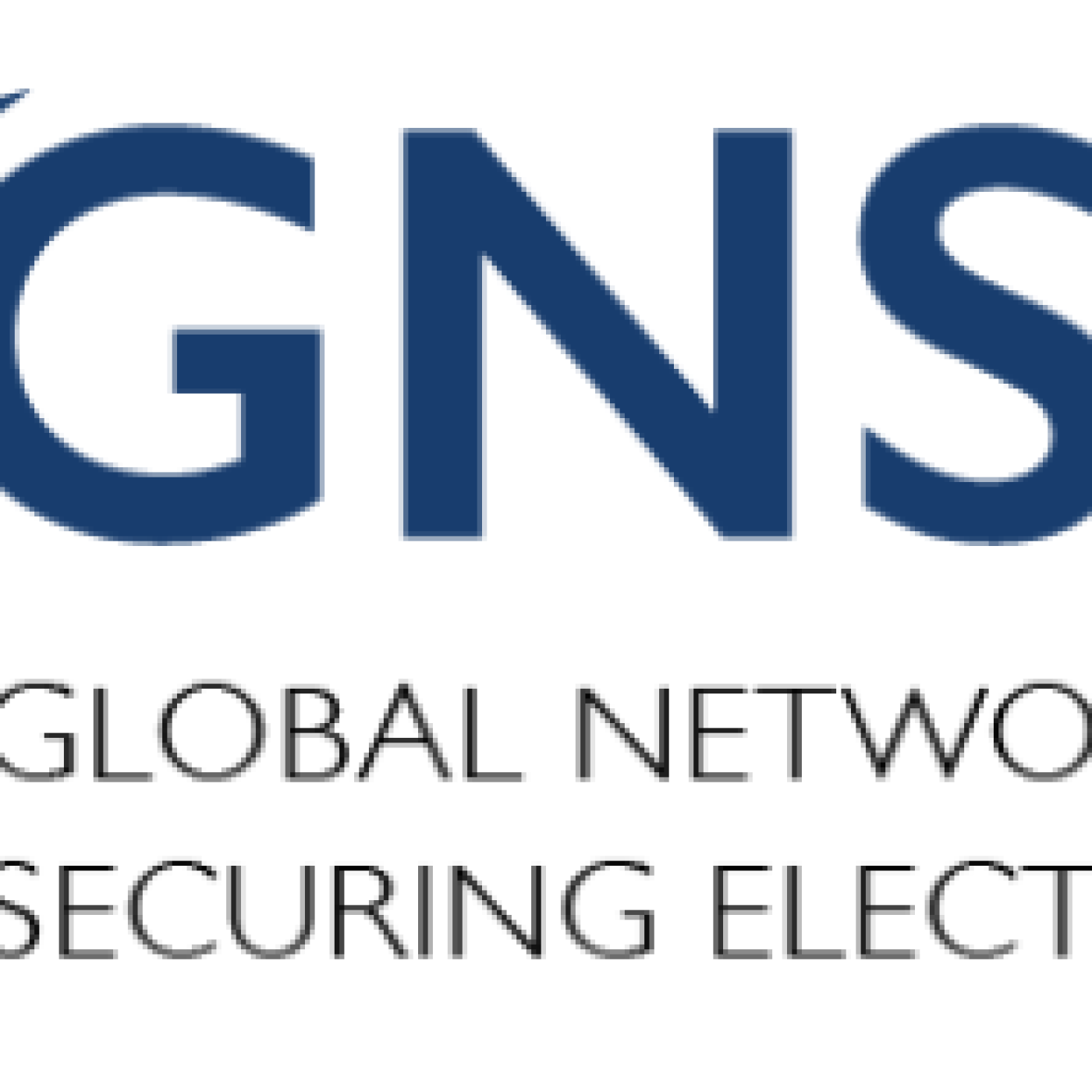 Global Network for Securing Electoral Integrity logo 