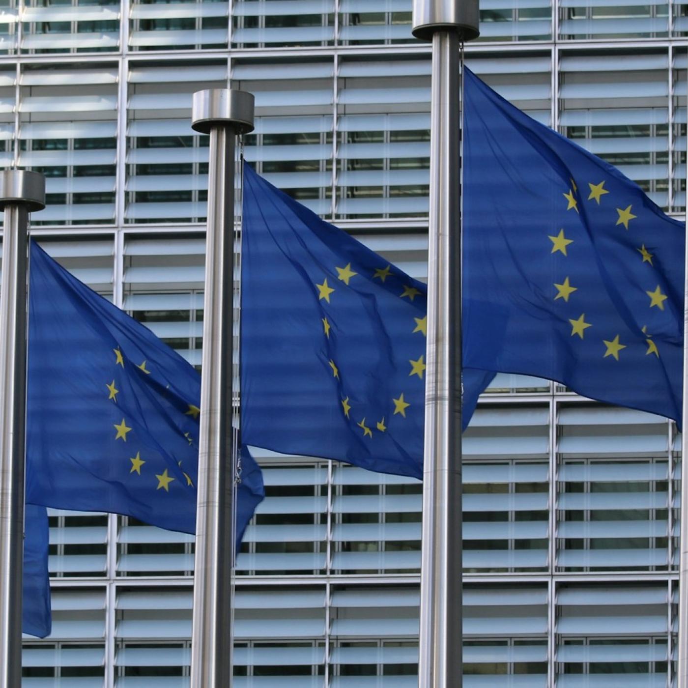 EU Flags image by Guillaume Perigois via Unsplash